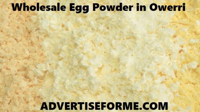 Wholesale Egg Powder in Owerri